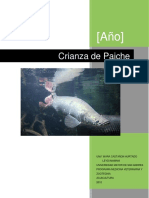 Manual Paiche v2