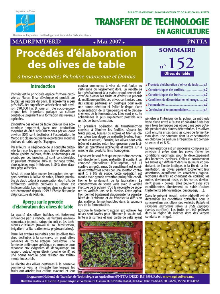 Élaboration des olives de table au Maroc | PDF | Fermentation ...