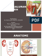 Referat ISK Riri