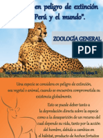 Animales en peligro de extinción.pptx