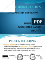 Protein Refolding Methods and Additives