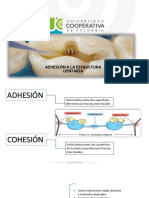 Exposición Adhesión A La Estructura Dentaria