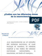 Áreas de Las Neurociencias