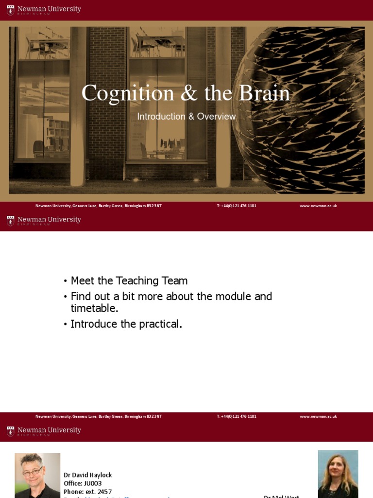 Cognitive Psychology Module Guide | PDF | Psychology | Cognition