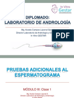 Andrología Modulo