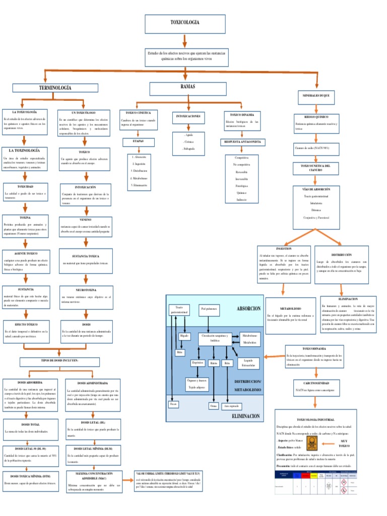 SOLUTION: Mapa mental toxicologia - Studypool