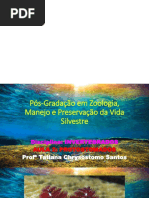 INVERTEBRADOS_AULA_2_TATIANA.pptx