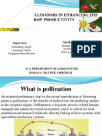 Role of Pollinators Crop Productivity