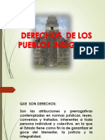 Derechos de Los Pueblos Indigenas - Cunsol PDF