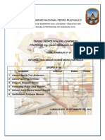 MURO_PANTALLA_INFORME.pdf