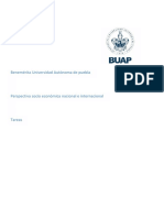 Perspectiva Socioeconomica PDF