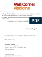 EPOM Lab Intro Nasal Cavity and Pteryg Fossa EPOM 17