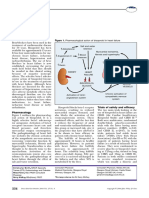 Bisoprolol Pharmacololgy