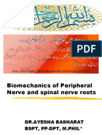 Biomechanics of Nerves