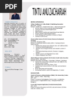 Tintu Resume