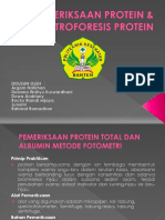 Pemeriksaan Protein & Elektroforesis Protein