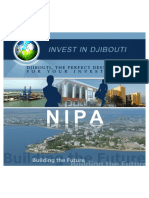 11 Invest in Djibouti 2011