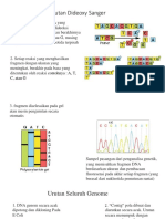 Urutan Dideoxy Sanger.pptx