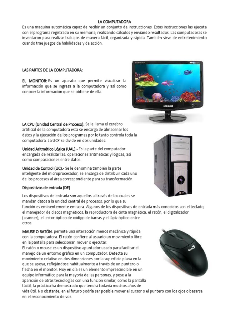 Partes esenciales de una computadora | PDF | Hardware de la computadora ...