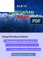 Bab VI PEREDARAN DARAH.pdf