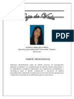 HV Angelica PDF