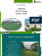 Pastos y Forrajes 070718