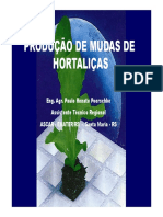 Produção de Mudas e Hortaliças