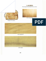 S-PD-150-91-R1-I-Manual de Identificación-4 PDF