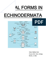 Echinoderm Larvae PDF