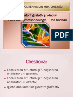 analizatorii_gustativ_si_olfactiv.pptx