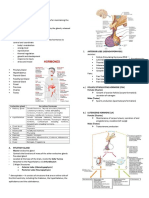 Endocrine System