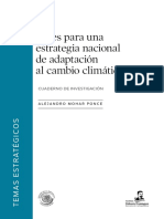 Bases_para_una_estrategia_nacional_de_ad (1).pdf