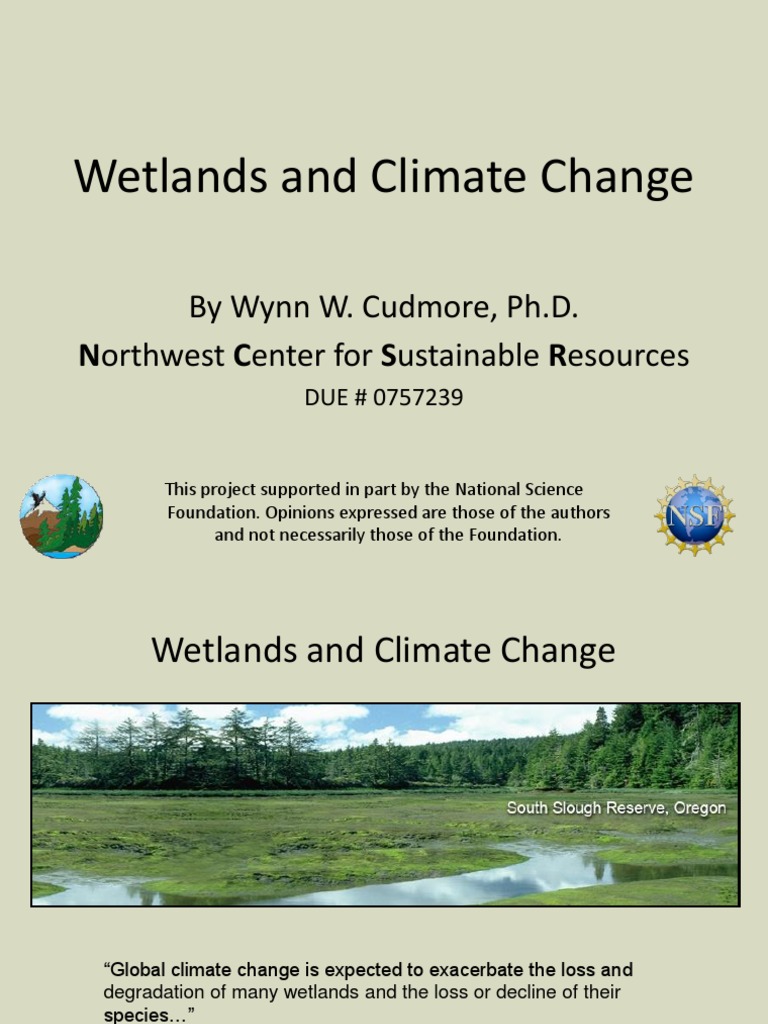 Wetlands and Climate Change | PDF | Wetland | Sea Level Rise