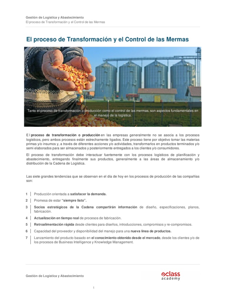 Estrategias de Producción y Mermas | PDF | Logística | Business