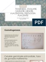 Curs 1 - Gametogeneza,  placenta.pptx