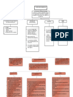 Mapa Conceptual