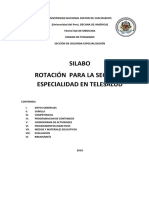 Silabo RotacionTelesalud2019-2020