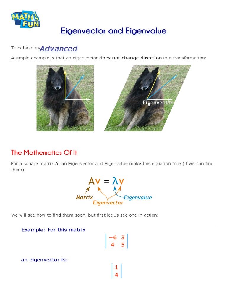 Eigenvector and Eigenvalue | PDF | Eigenvalues And Eigenvectors ...