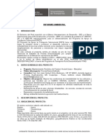 Informe Ambiental