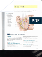 Nerf Facial PDF