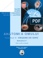 anatomie organe de simt.pdf