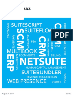 Netsuite Basic PDF