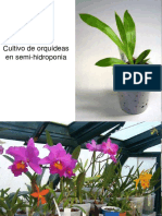 Cultivo de Orquideas en Semi-Hidroponia PDF