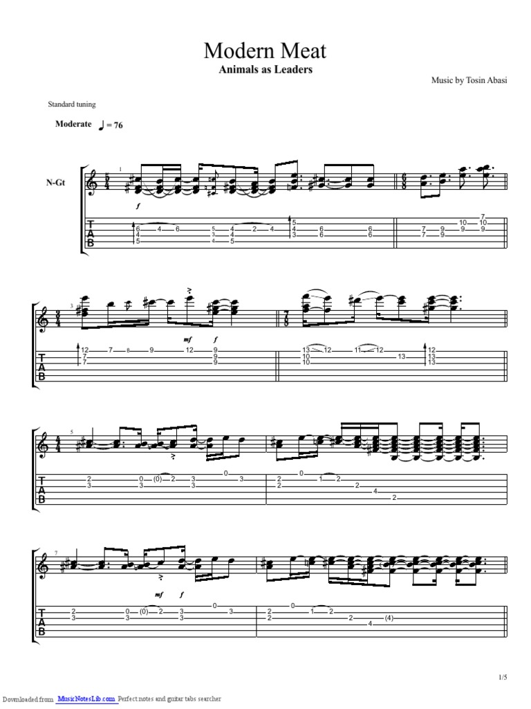 Animals As Leaders-Modern Meat | PDF | Celtic Musical Instruments