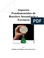 Aspectos Fundamentales de Recobro Secund PDF
