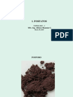 Presentación (Envío 1) Fosfatos YMNM. AEHG, EPIG. Mzo. 30, 2015 PDF