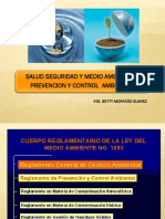 Prevencion y Control Ambiental