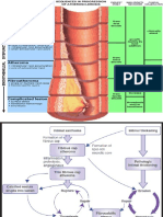 Presentation 123