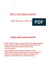 Batu Saluran Kemih1