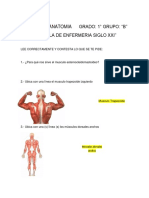 Examen Anatomia.docx